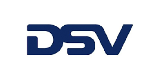 DSV logo